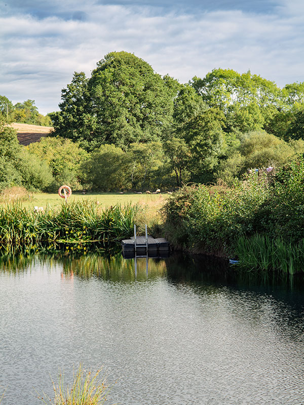 Stay at Beili Glas and enjoy wild swimming in our swimming pond.