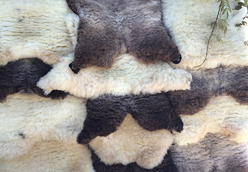 Beili Glas organic sheepskins from Monmouthshire, Wales