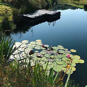 Swimming lake in summer at Beili Glas, Monmouthshire, Wales